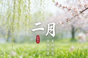 二月出生是什么星座