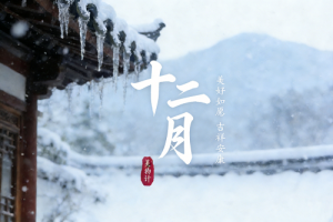 十二月出生是什么星座