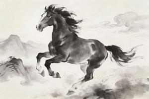 2026年出生的马宝宝是什么命