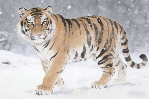 74年属虎五行属什么命