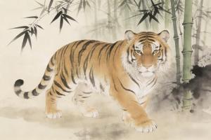 74年虎50岁后十年大运运程