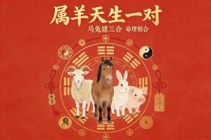 羊和谁是天生一对