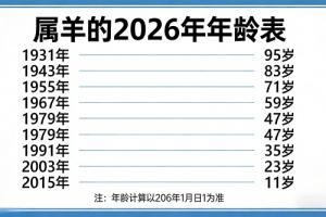 属羊的今年多大了2026年