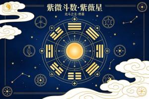 紫薇在命宫代表什么
