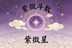 紫薇星在哪个宫最好