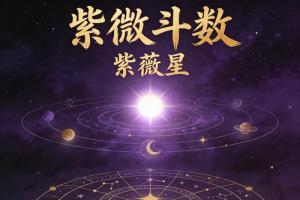 紫薇星在夫妻宫代表什么