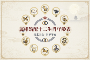 属相婚配十二生肖年龄表2026