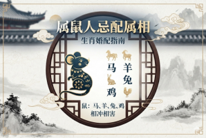 属鼠的人什么属相不能配